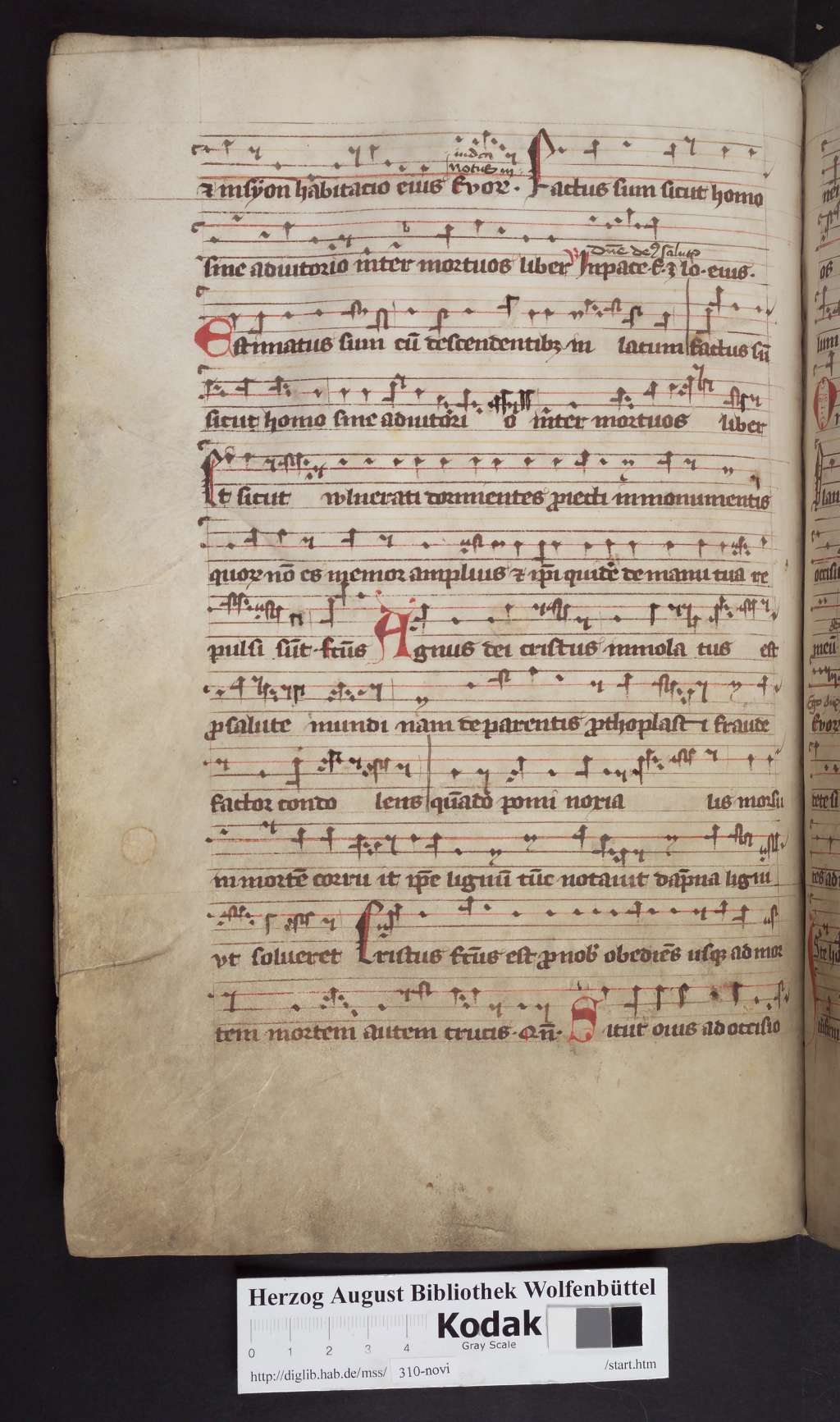 http://diglib.hab.de/mss/310-novi/00186.jpg