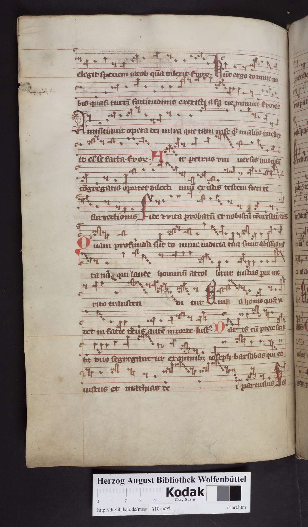 http://diglib.hab.de/mss/310-novi/00226.jpg