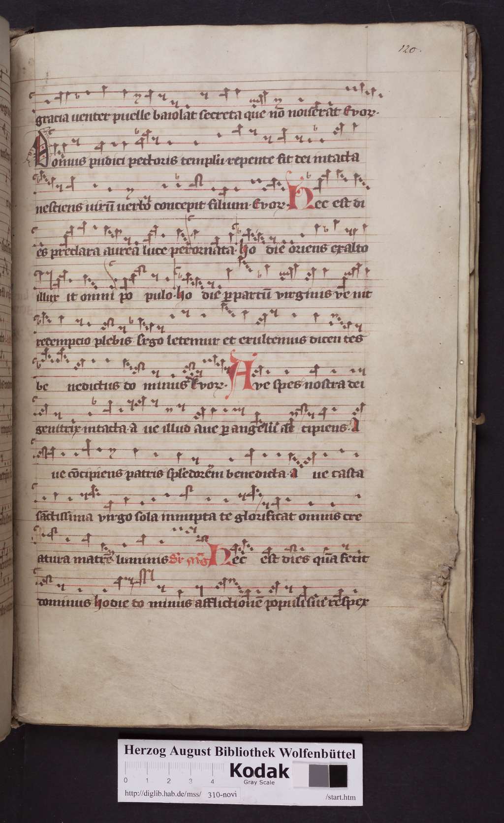 http://diglib.hab.de/mss/310-novi/00241.jpg