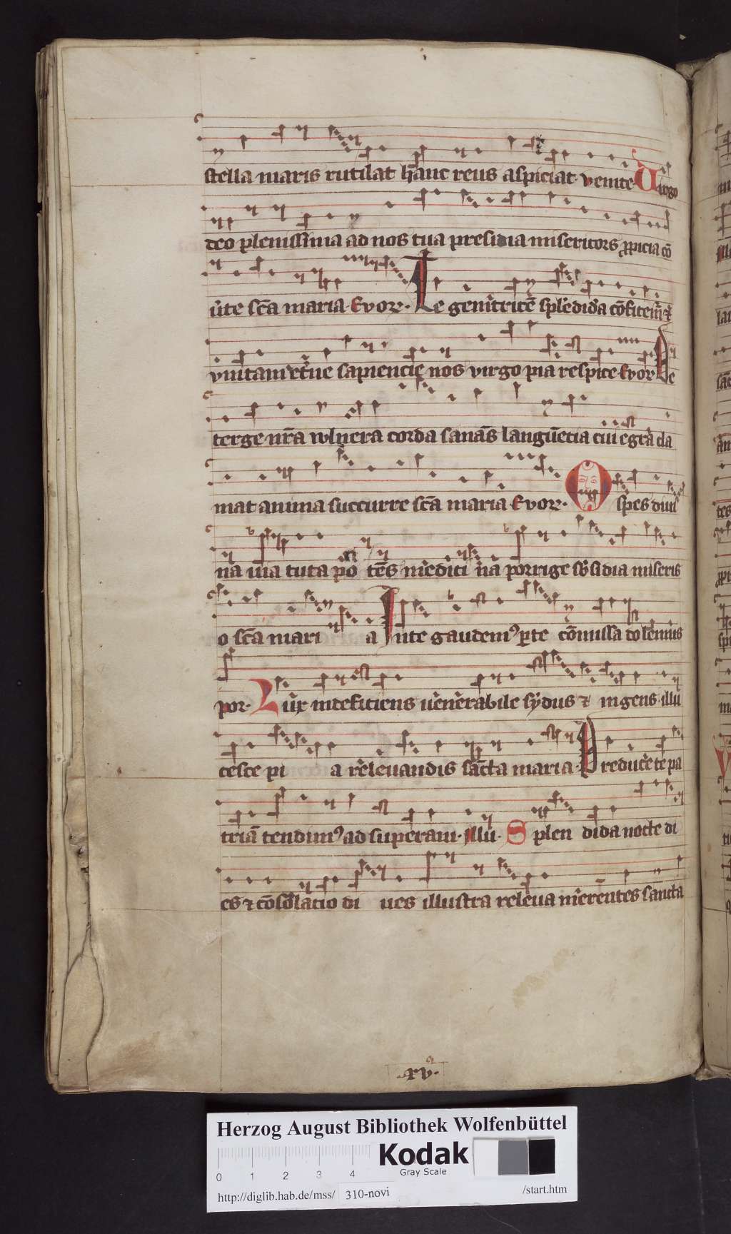 http://diglib.hab.de/mss/310-novi/00244.jpg