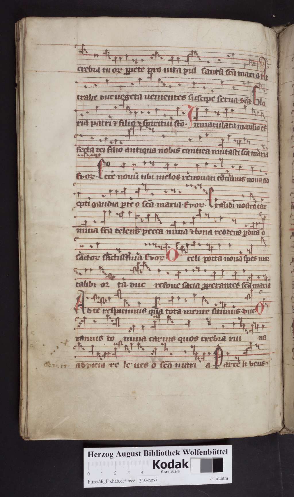 http://diglib.hab.de/mss/310-novi/00246.jpg