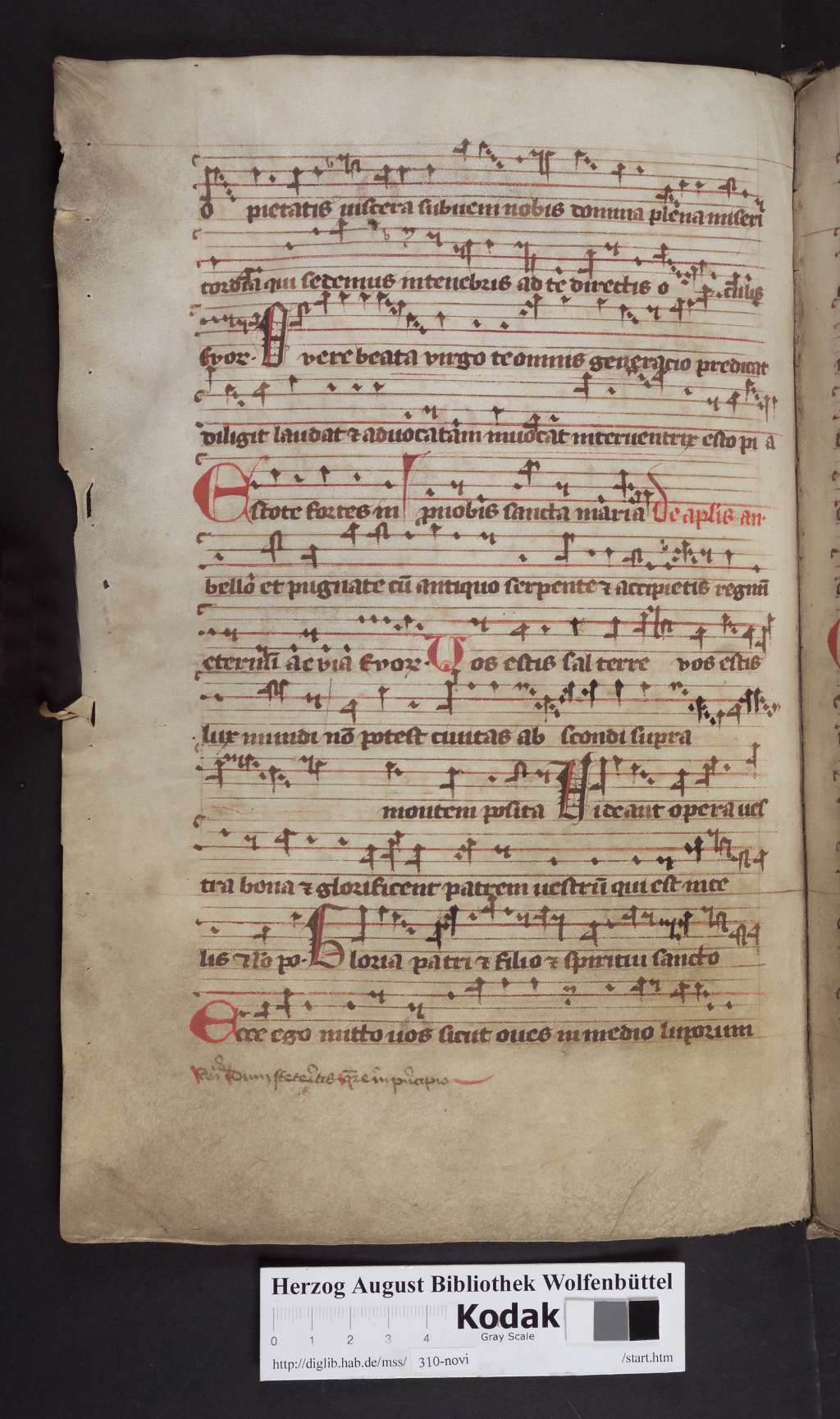 http://diglib.hab.de/mss/310-novi/00248.jpg