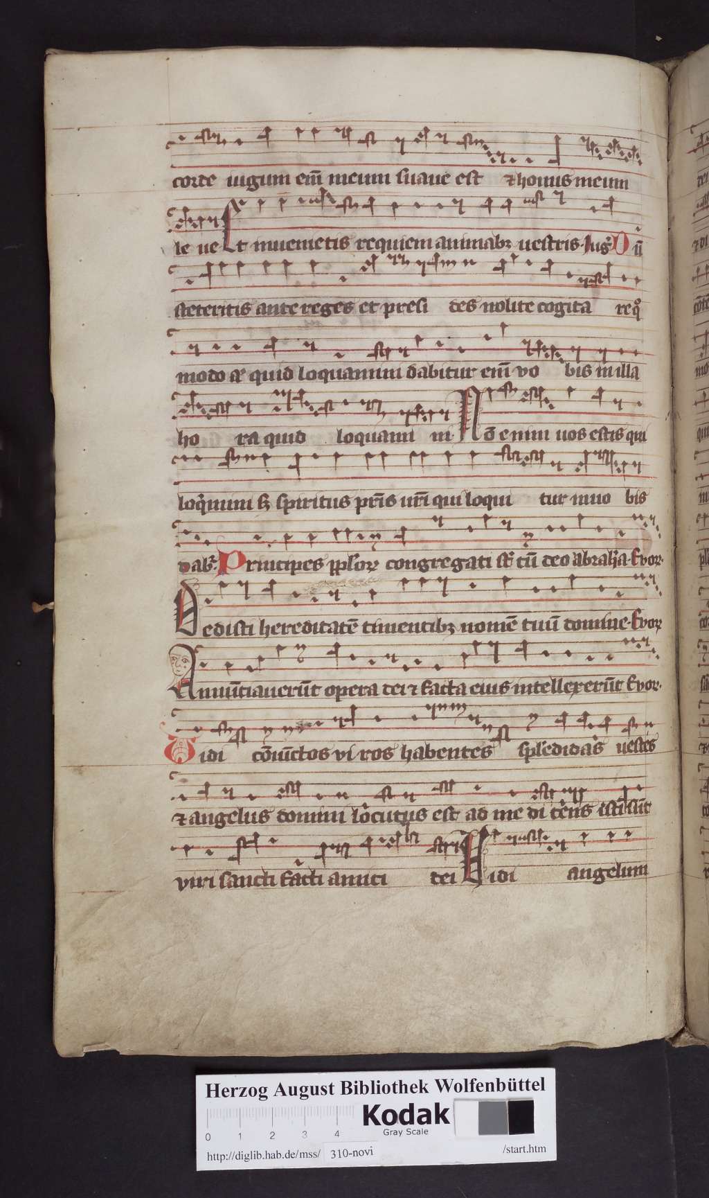 http://diglib.hab.de/mss/310-novi/00250.jpg