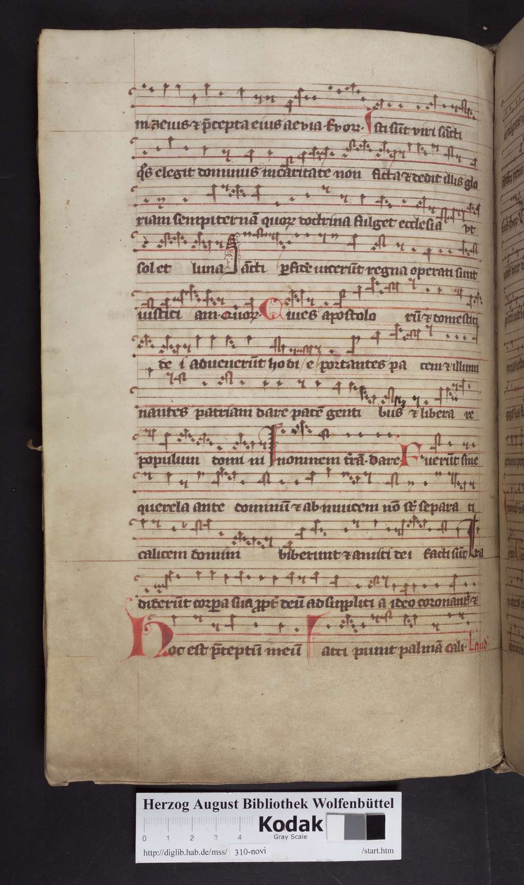 http://diglib.hab.de/mss/310-novi/00252.jpg