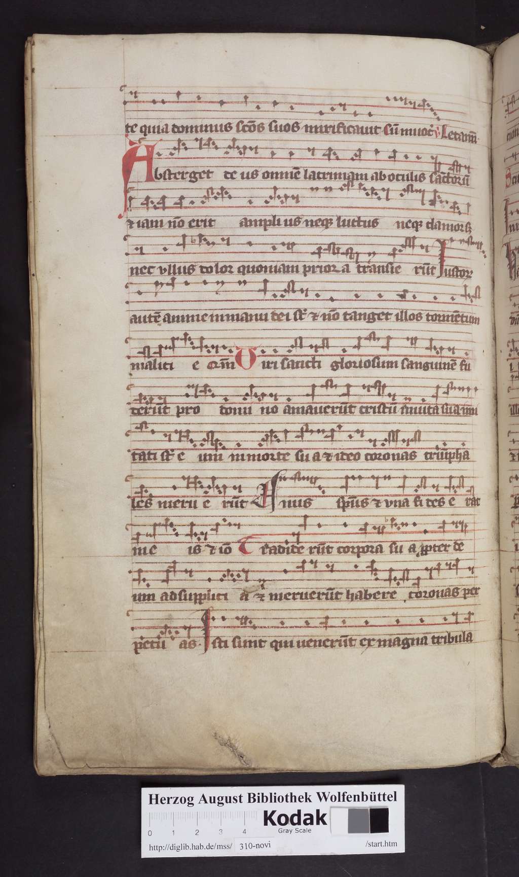 http://diglib.hab.de/mss/310-novi/00256.jpg
