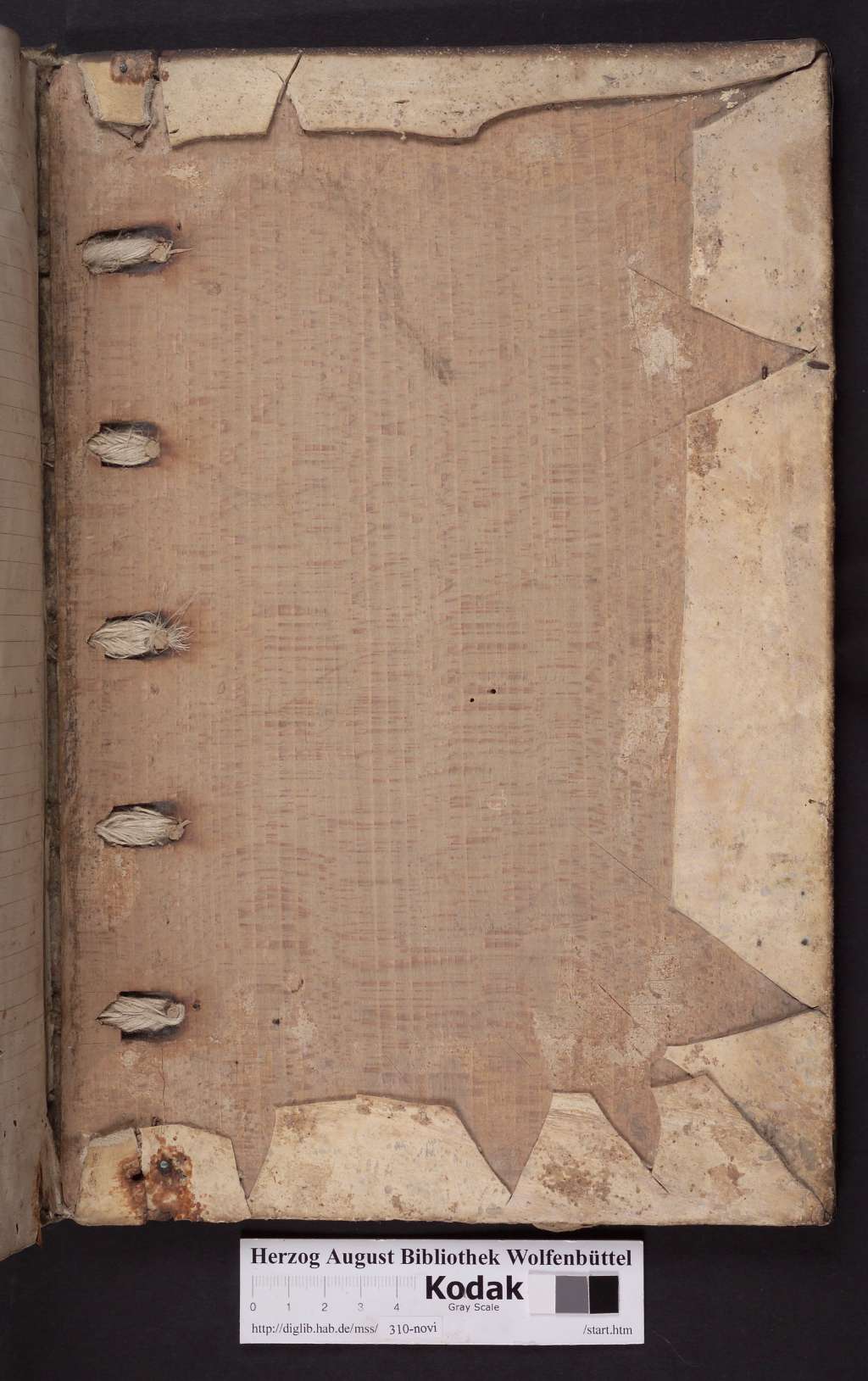 http://diglib.hab.de/mss/310-novi/00263.jpg
