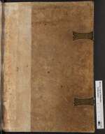 Cod. Guelf. 318 Helmst. — Plinius minor — Philippsburg, 1477