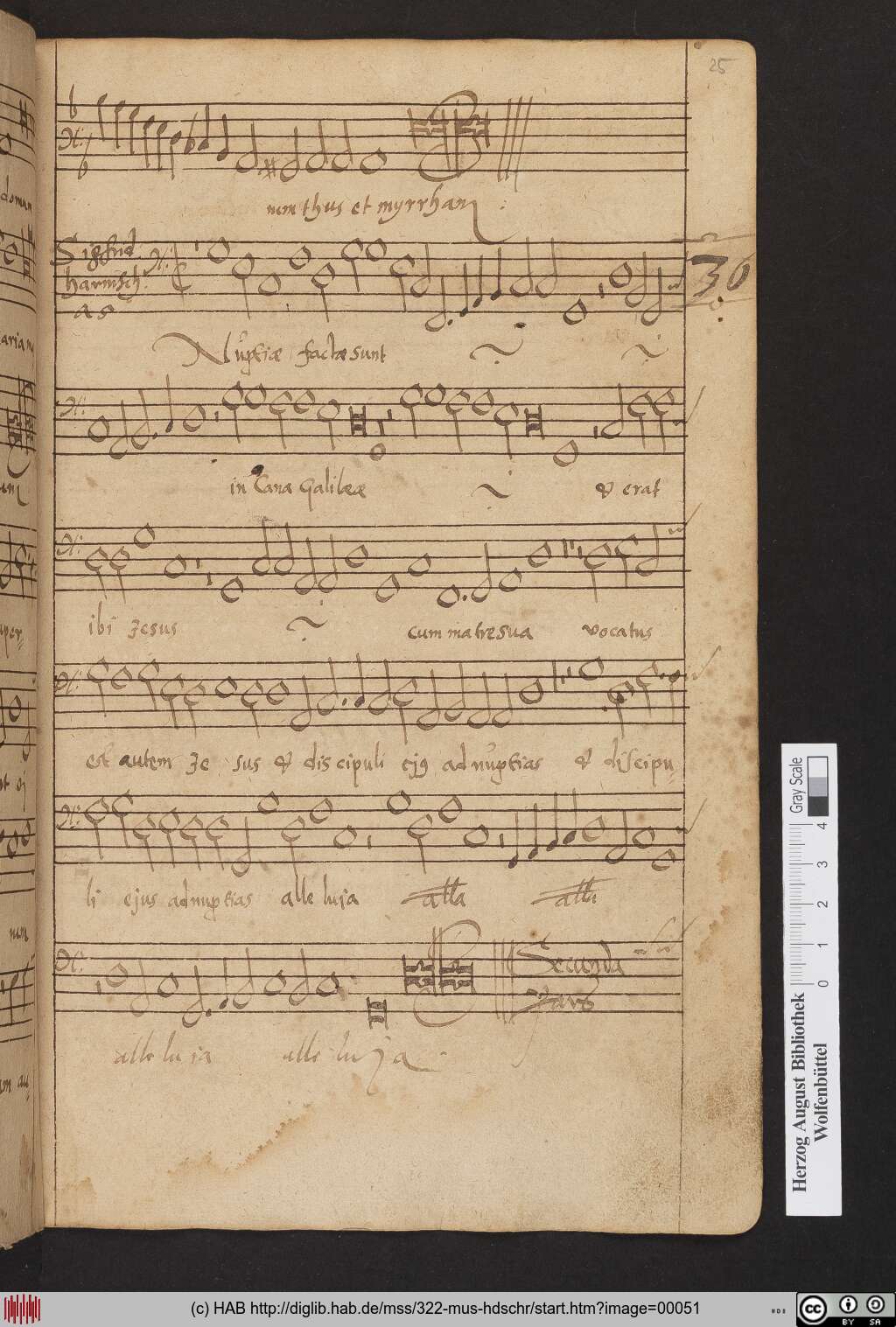 http://diglib.hab.de/mss/322-mus-hdschr/00051.jpg