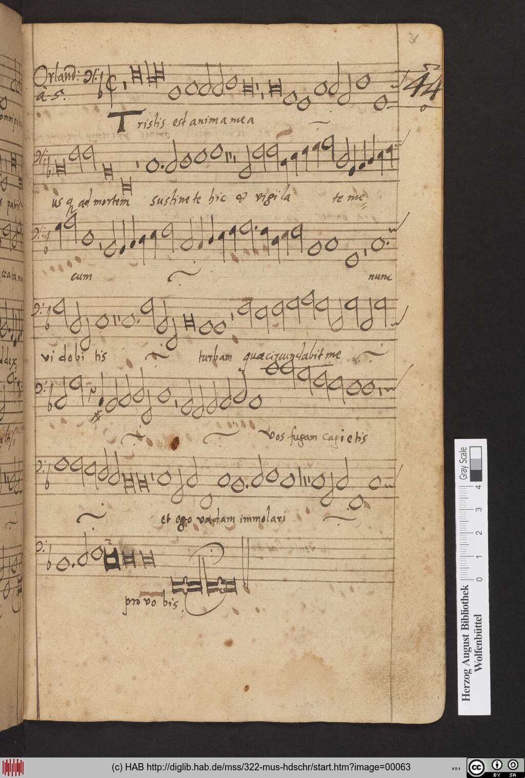 http://diglib.hab.de/mss/322-mus-hdschr/00063.jpg
