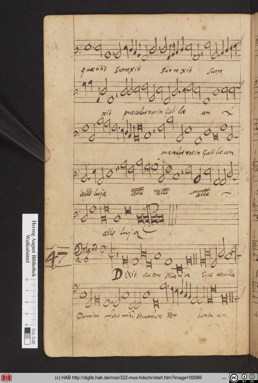 http://diglib.hab.de/mss/322-mus-hdschr/00066.jpg