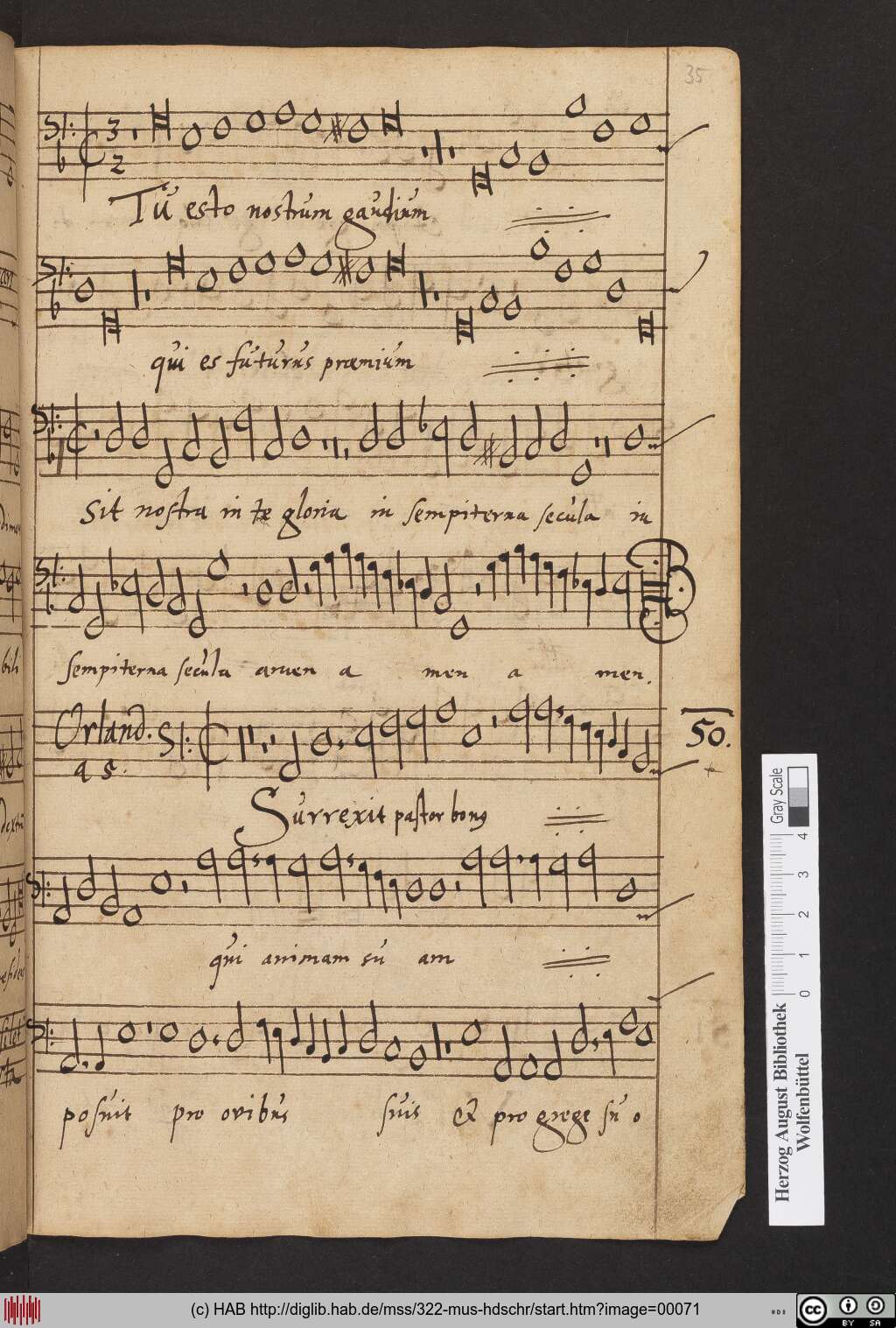 http://diglib.hab.de/mss/322-mus-hdschr/00071.jpg