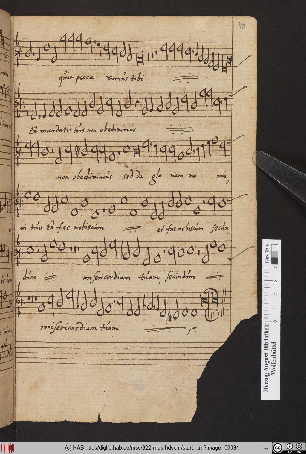 http://diglib.hab.de/mss/322-mus-hdschr/00081.jpg