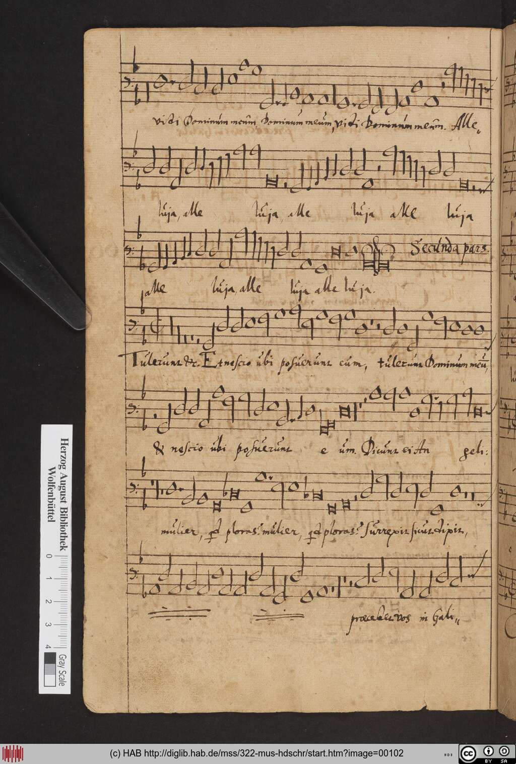 http://diglib.hab.de/mss/322-mus-hdschr/00102.jpg