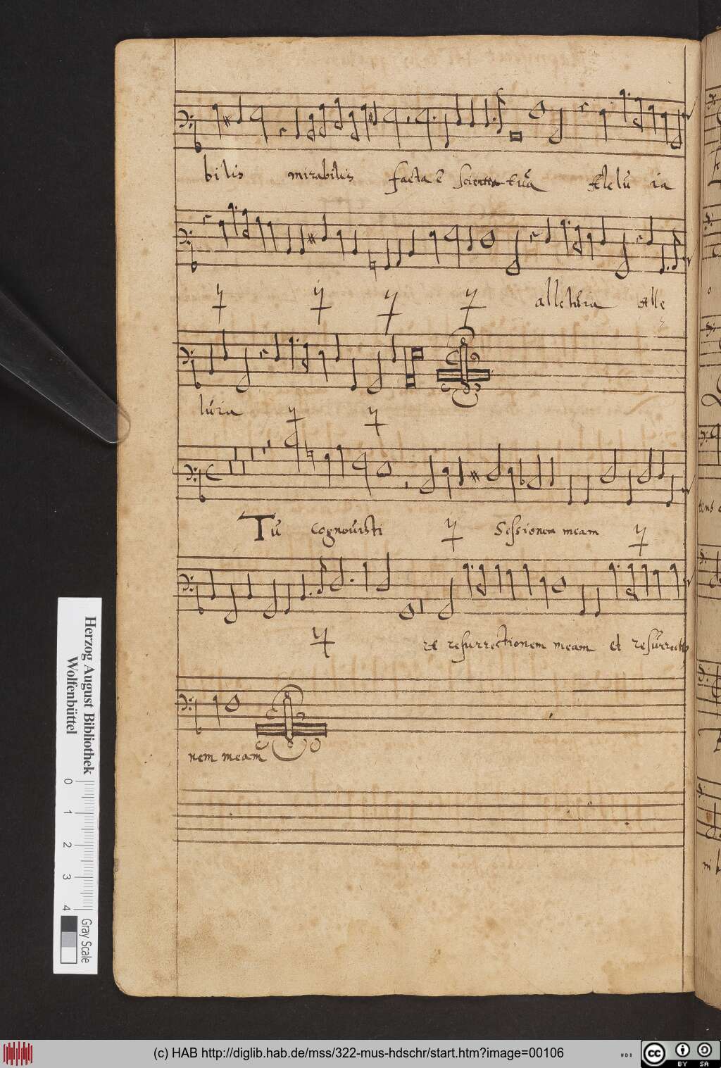 http://diglib.hab.de/mss/322-mus-hdschr/00106.jpg