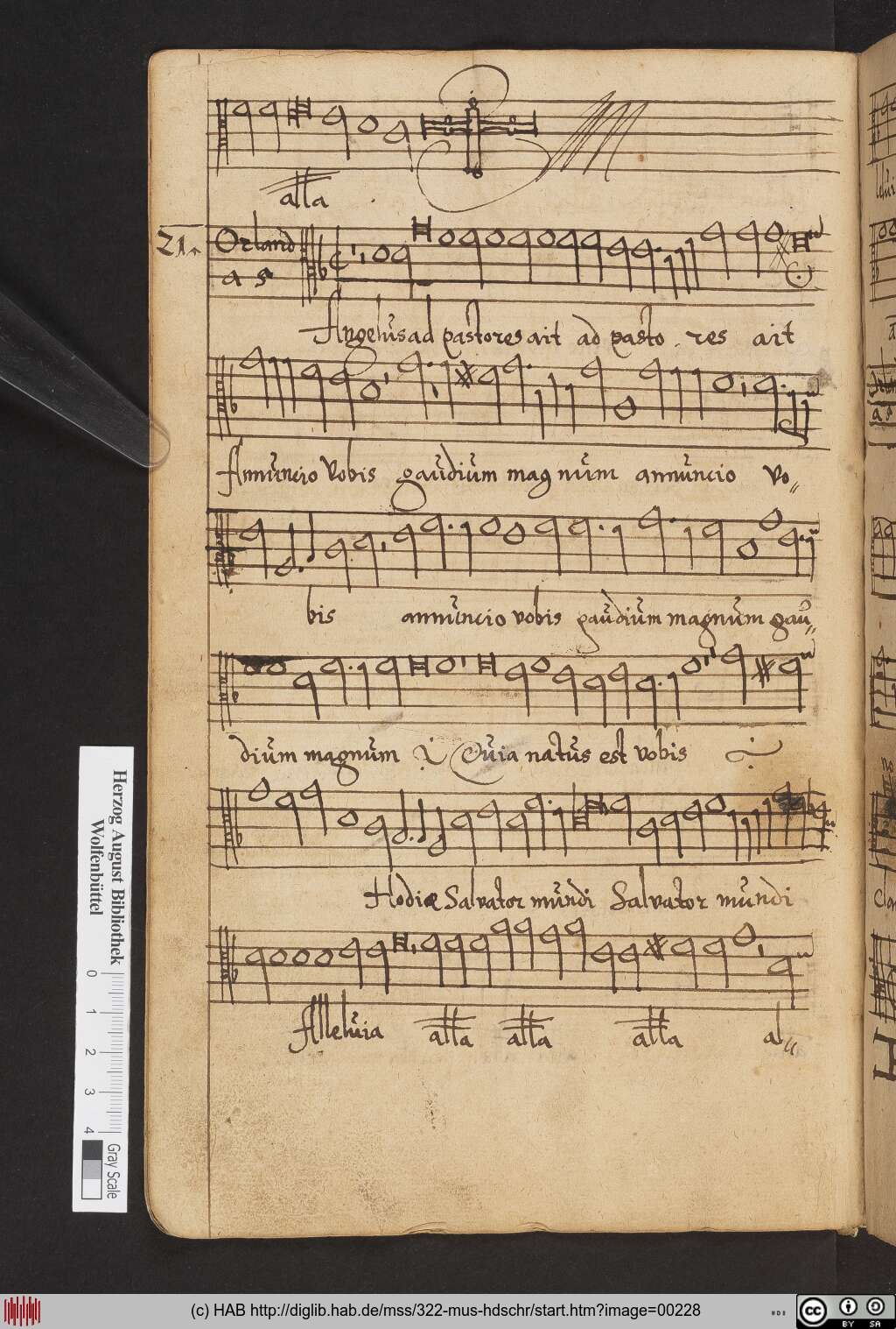 http://diglib.hab.de/mss/322-mus-hdschr/00228.jpg