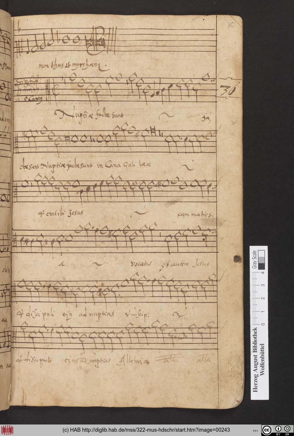 http://diglib.hab.de/mss/322-mus-hdschr/00243.jpg