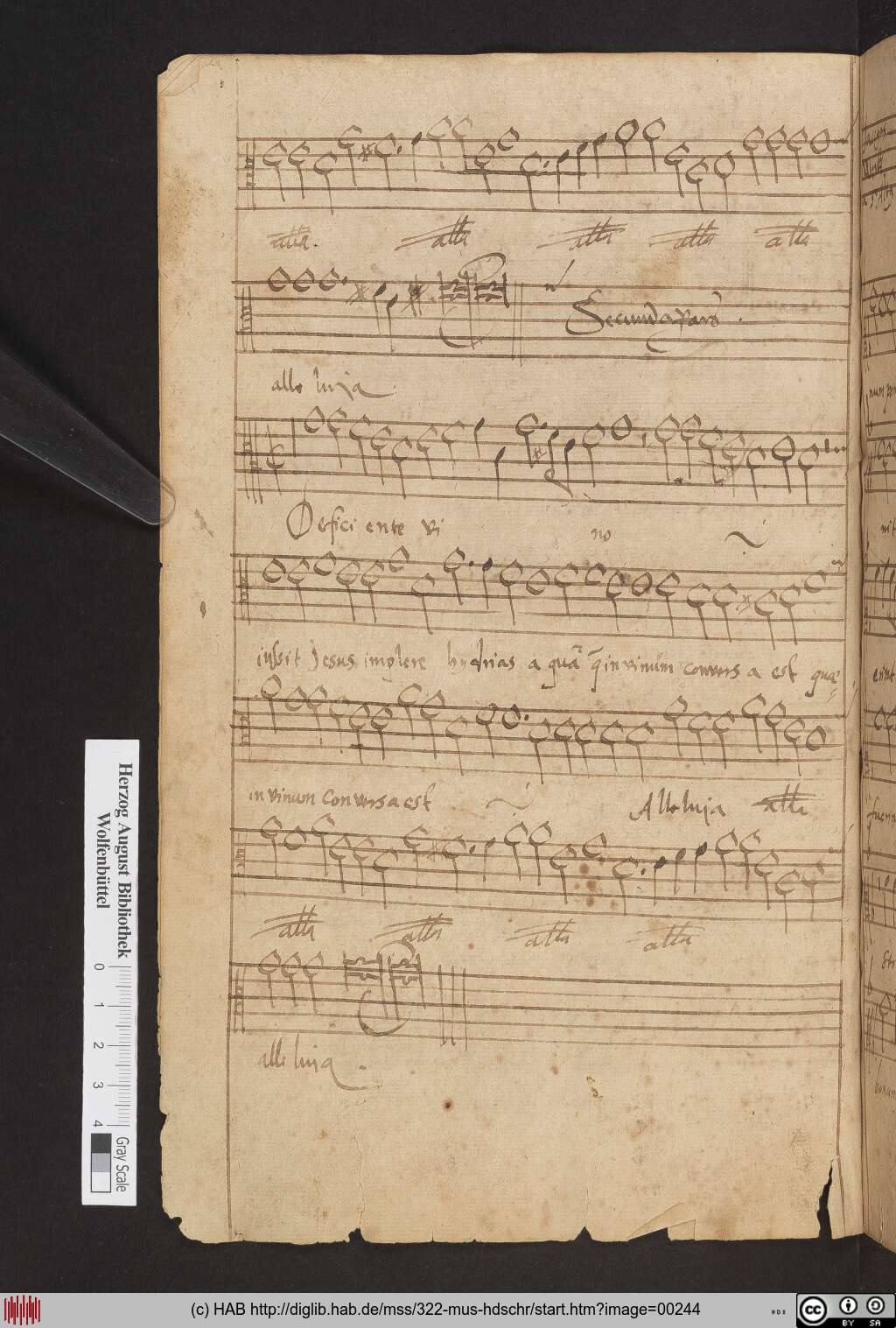 http://diglib.hab.de/mss/322-mus-hdschr/00244.jpg
