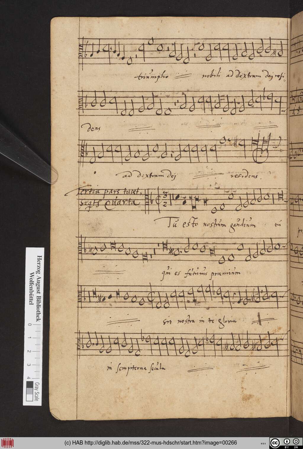 http://diglib.hab.de/mss/322-mus-hdschr/00266.jpg