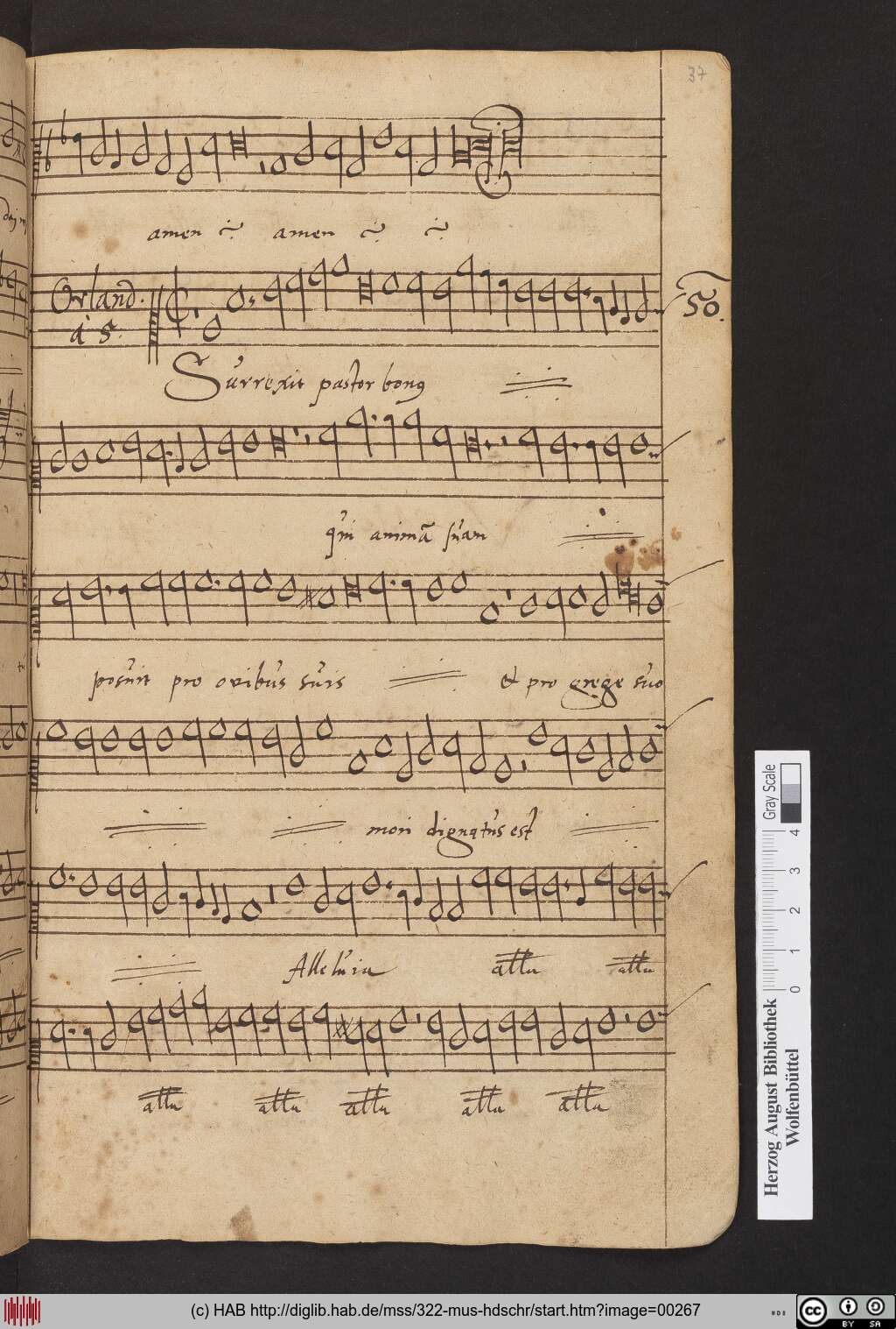 http://diglib.hab.de/mss/322-mus-hdschr/00267.jpg