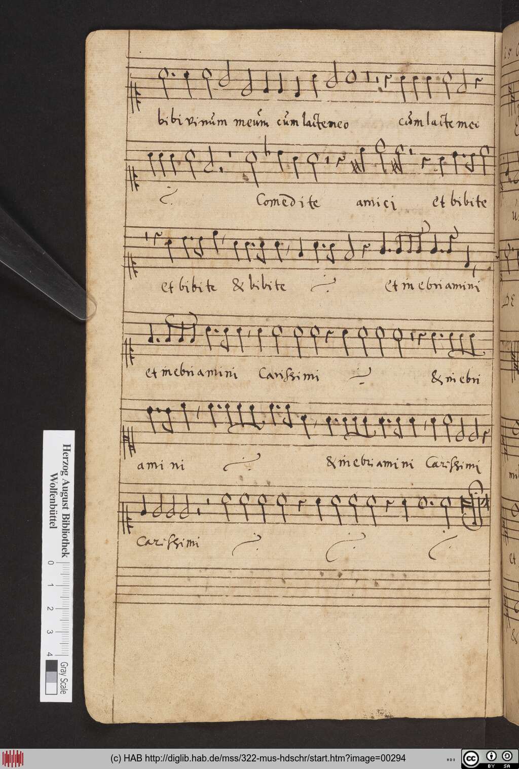 http://diglib.hab.de/mss/322-mus-hdschr/00294.jpg