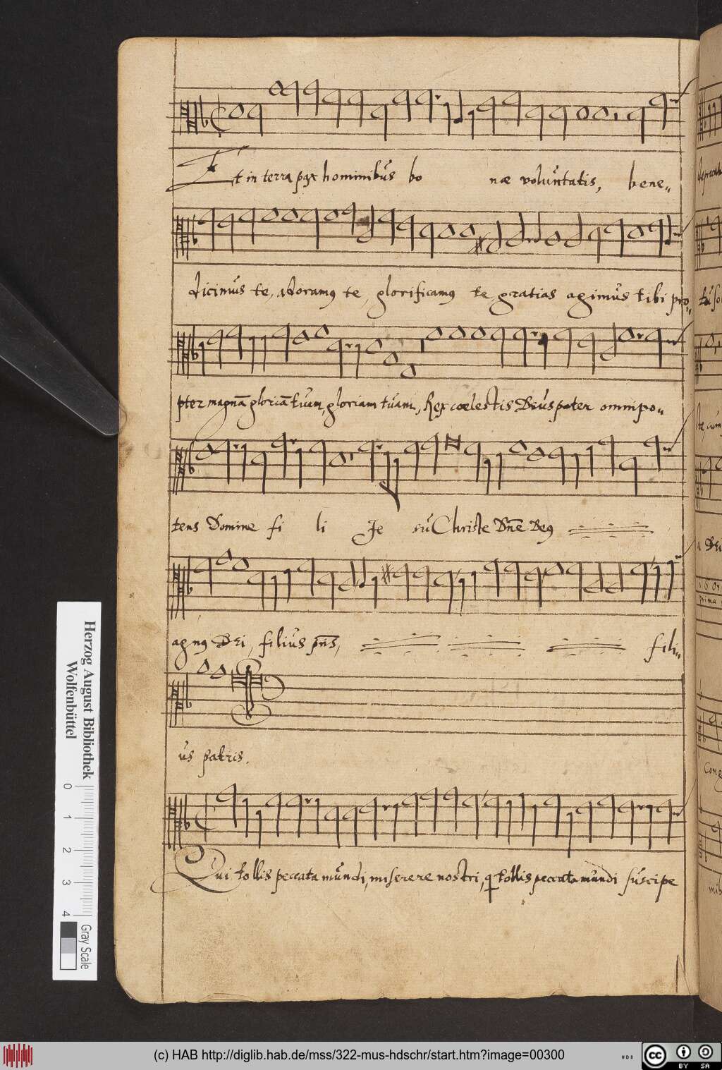 http://diglib.hab.de/mss/322-mus-hdschr/00300.jpg