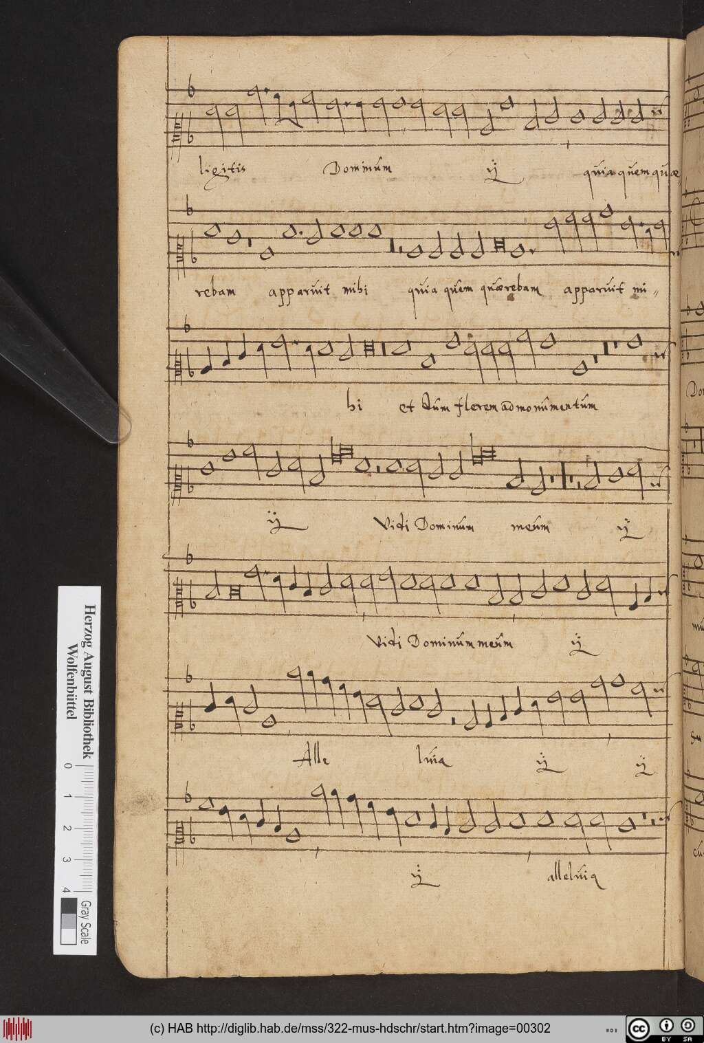 http://diglib.hab.de/mss/322-mus-hdschr/00302.jpg