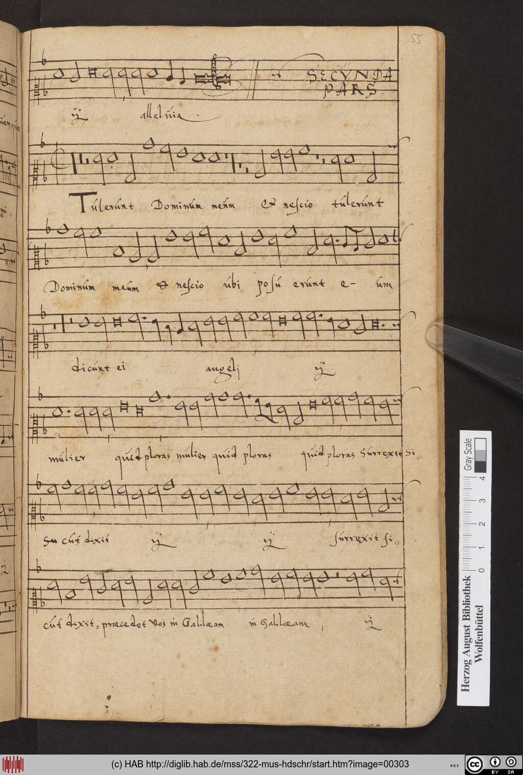 http://diglib.hab.de/mss/322-mus-hdschr/00303.jpg