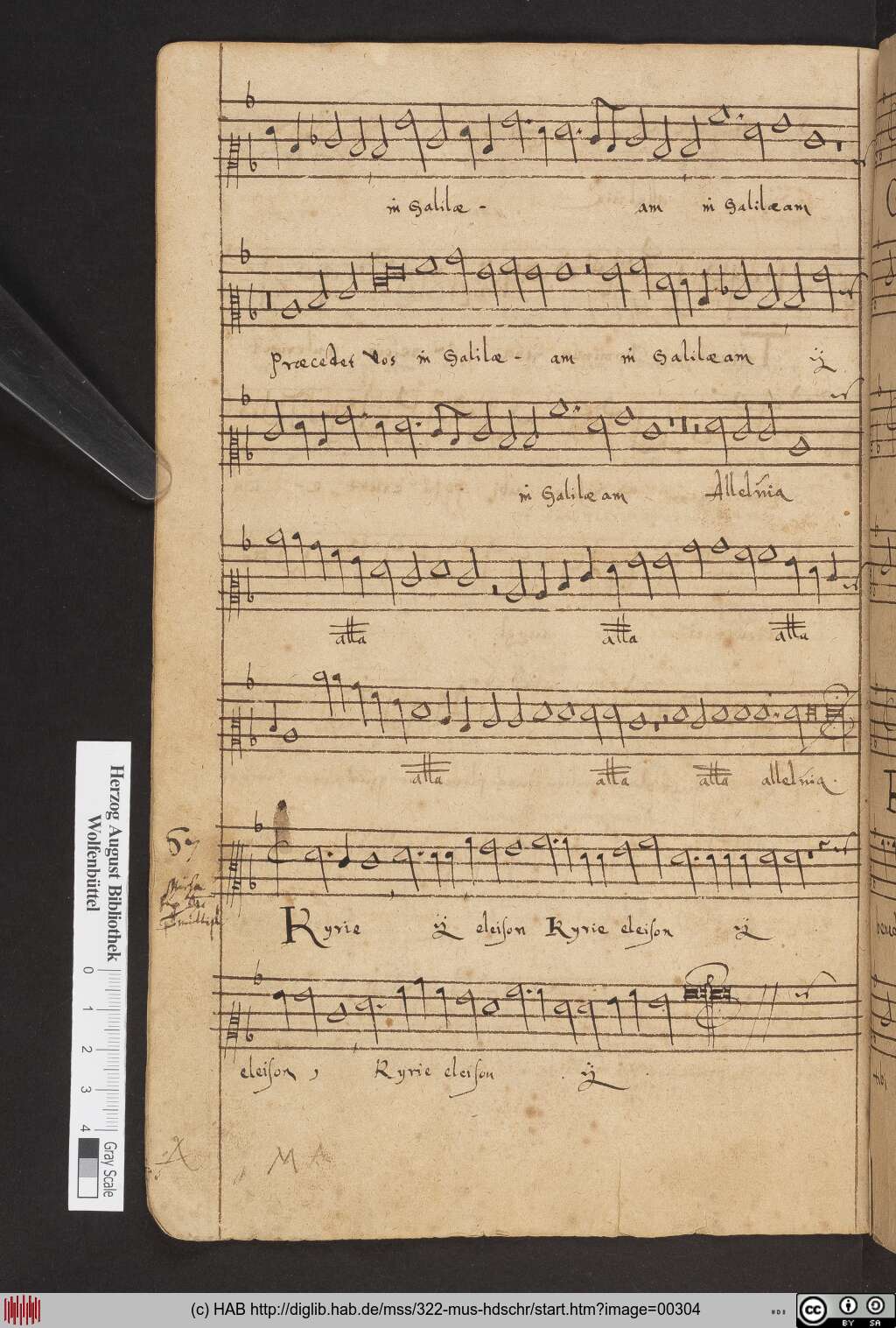 http://diglib.hab.de/mss/322-mus-hdschr/00304.jpg
