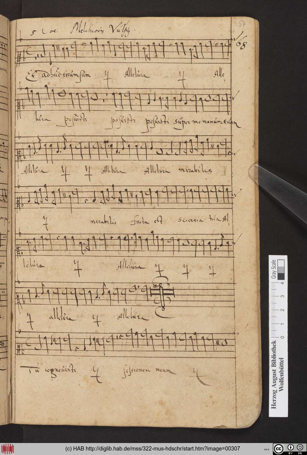 http://diglib.hab.de/mss/322-mus-hdschr/00307.jpg