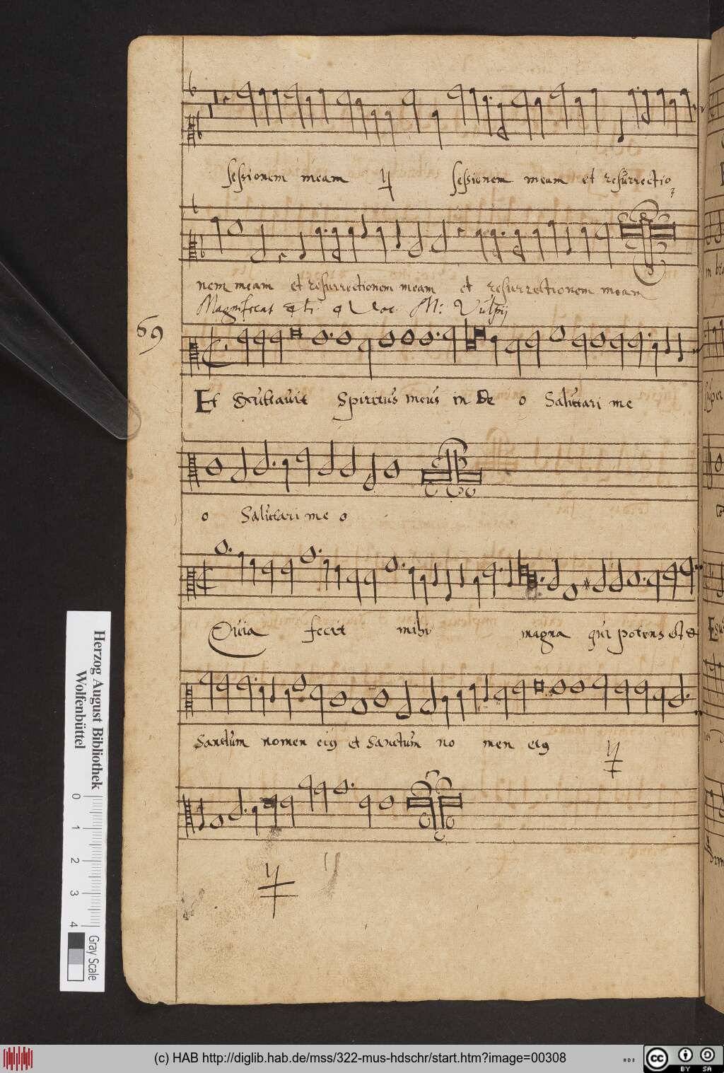 http://diglib.hab.de/mss/322-mus-hdschr/00308.jpg