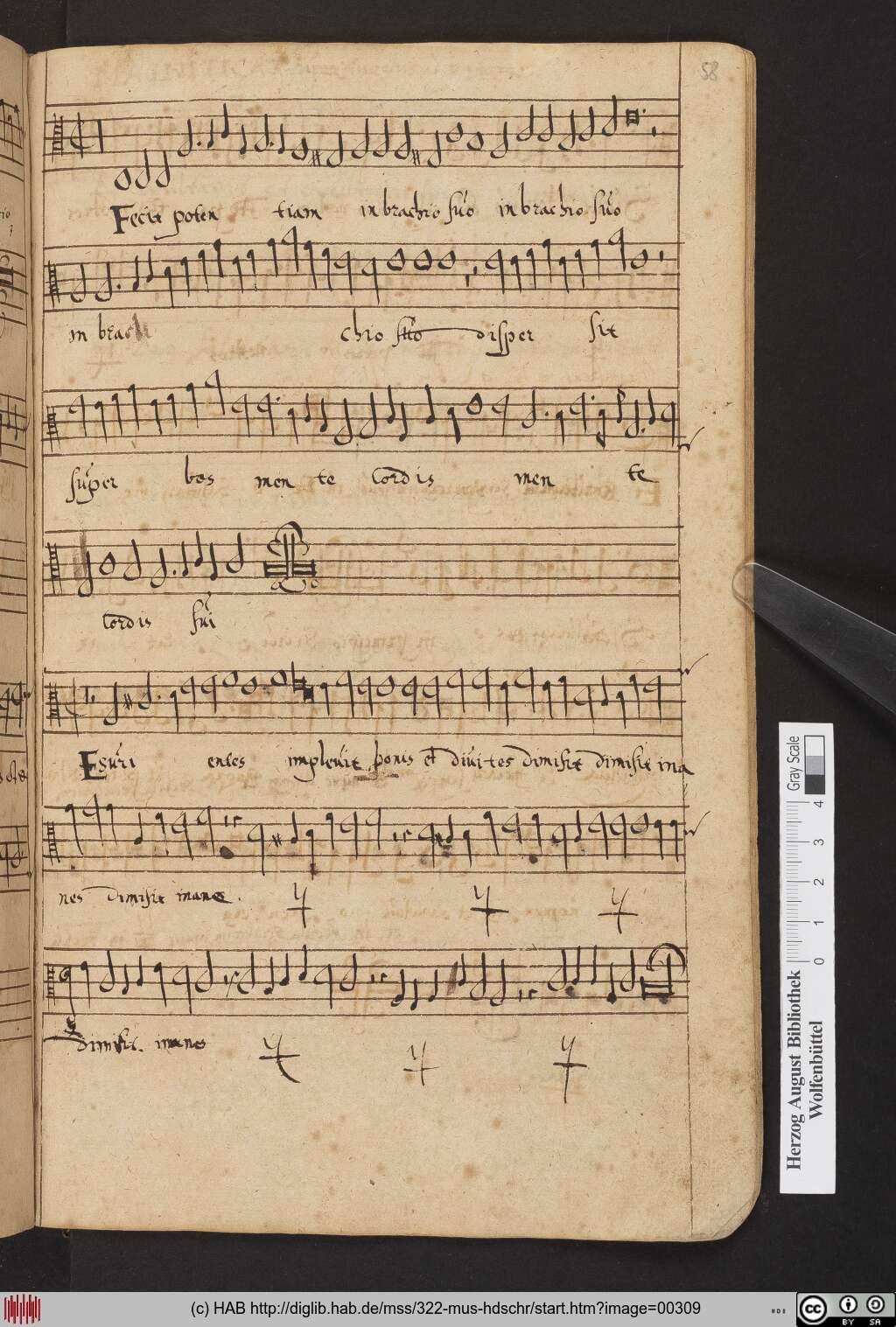 http://diglib.hab.de/mss/322-mus-hdschr/00309.jpg