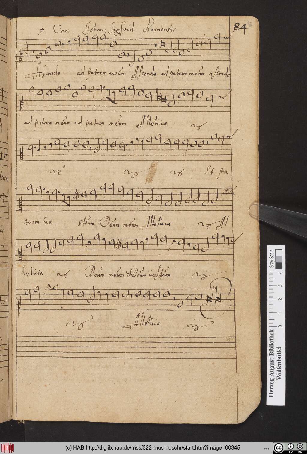 http://diglib.hab.de/mss/322-mus-hdschr/00345.jpg