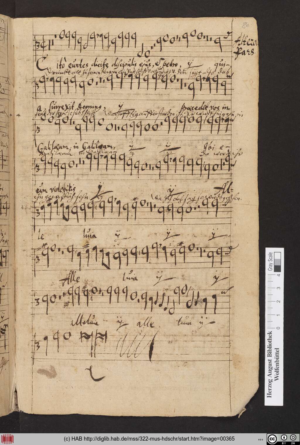 http://diglib.hab.de/mss/322-mus-hdschr/00365.jpg