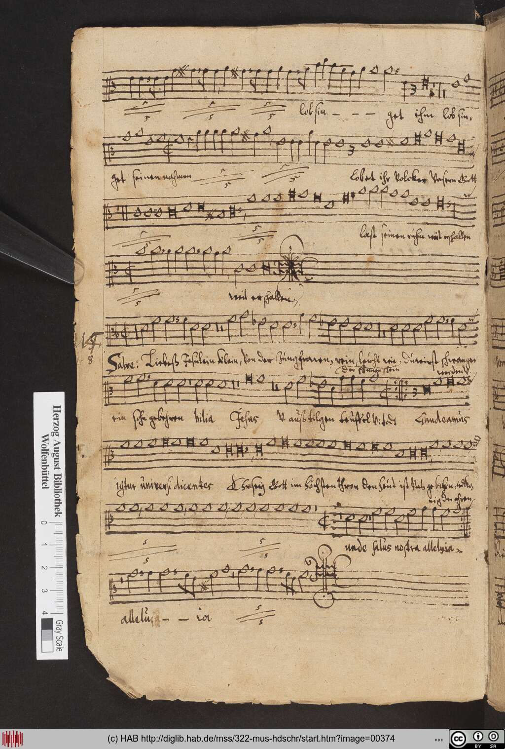http://diglib.hab.de/mss/322-mus-hdschr/00374.jpg