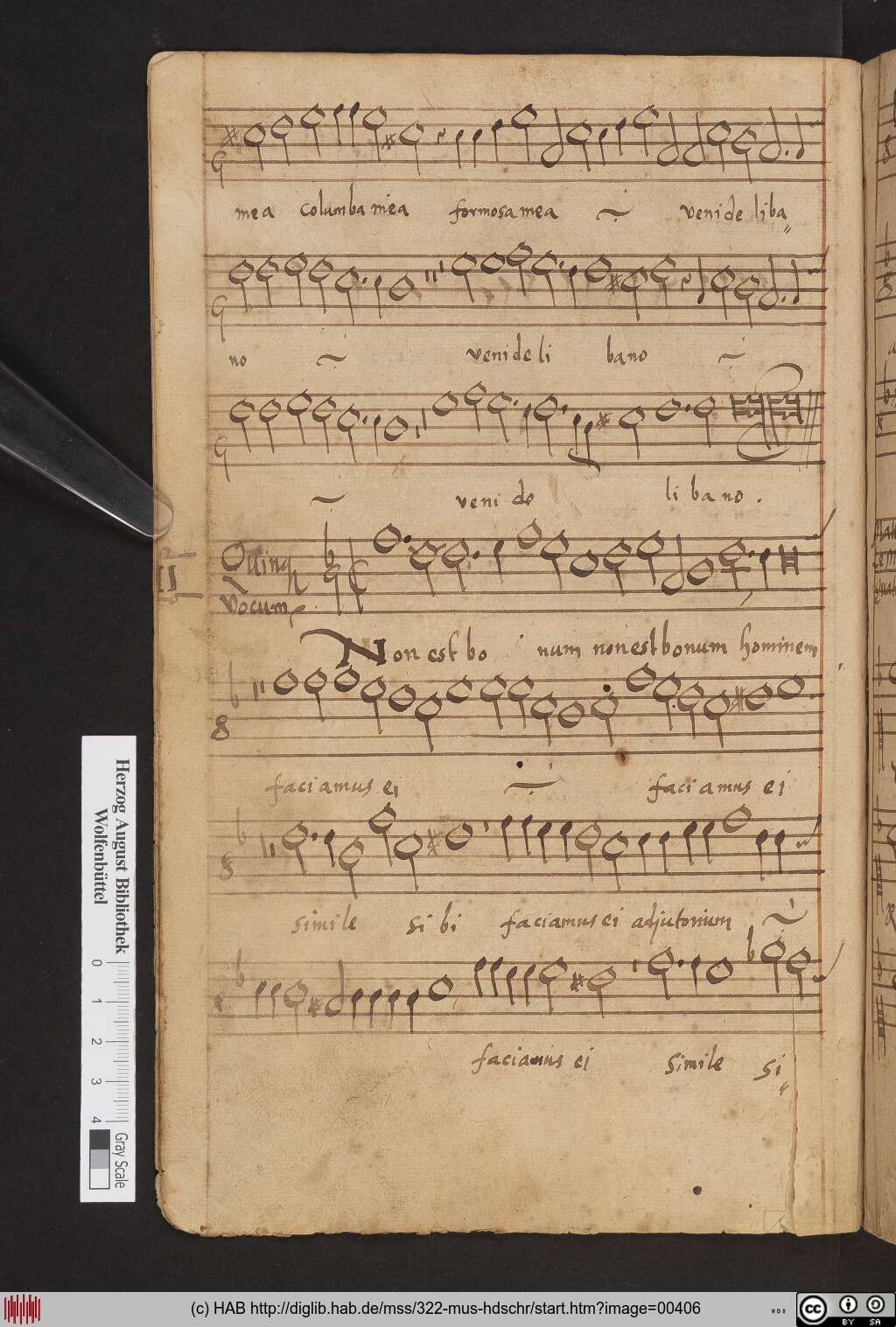 http://diglib.hab.de/mss/322-mus-hdschr/00406.jpg