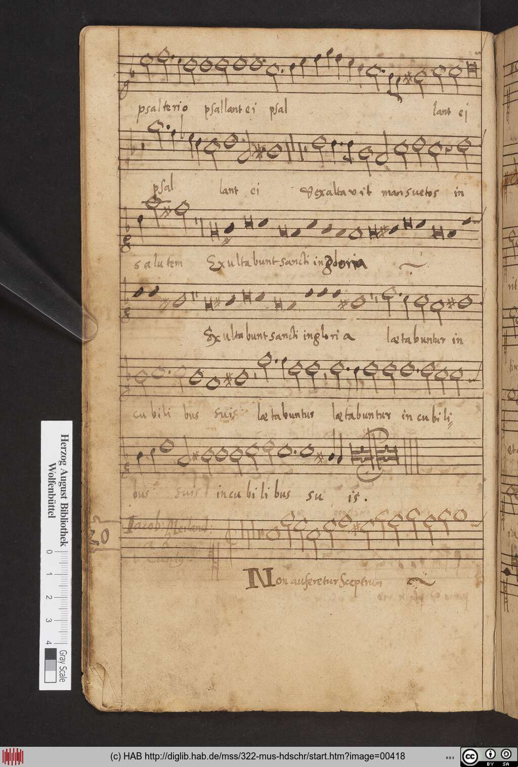 http://diglib.hab.de/mss/322-mus-hdschr/00418.jpg