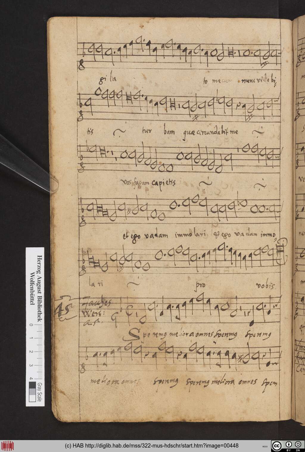 http://diglib.hab.de/mss/322-mus-hdschr/00448.jpg