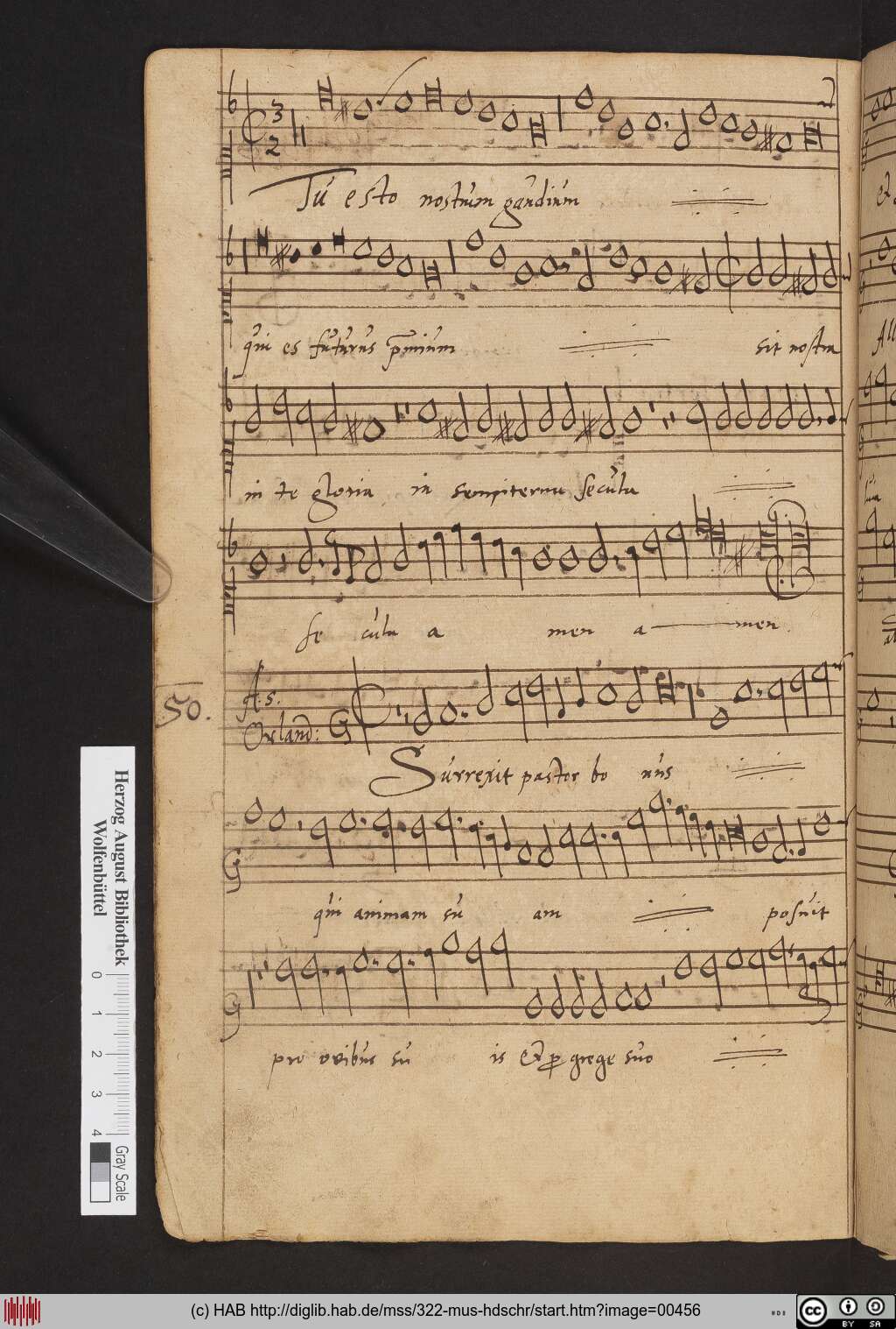 http://diglib.hab.de/mss/322-mus-hdschr/00456.jpg