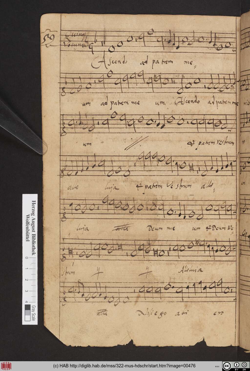 http://diglib.hab.de/mss/322-mus-hdschr/00476.jpg