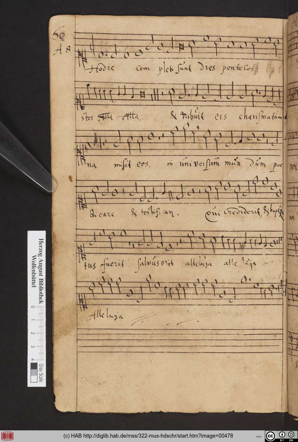 http://diglib.hab.de/mss/322-mus-hdschr/00478.jpg