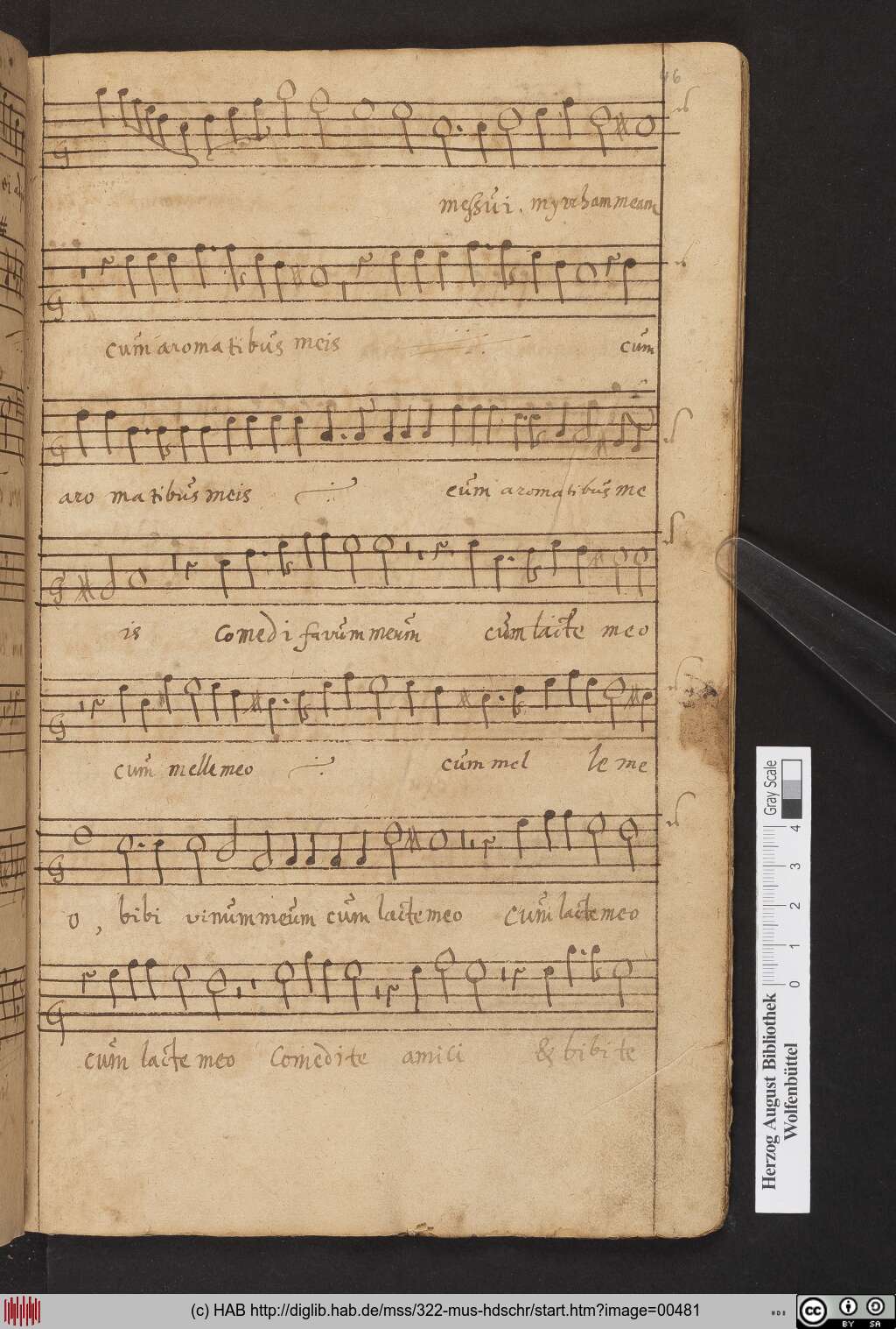 http://diglib.hab.de/mss/322-mus-hdschr/00481.jpg