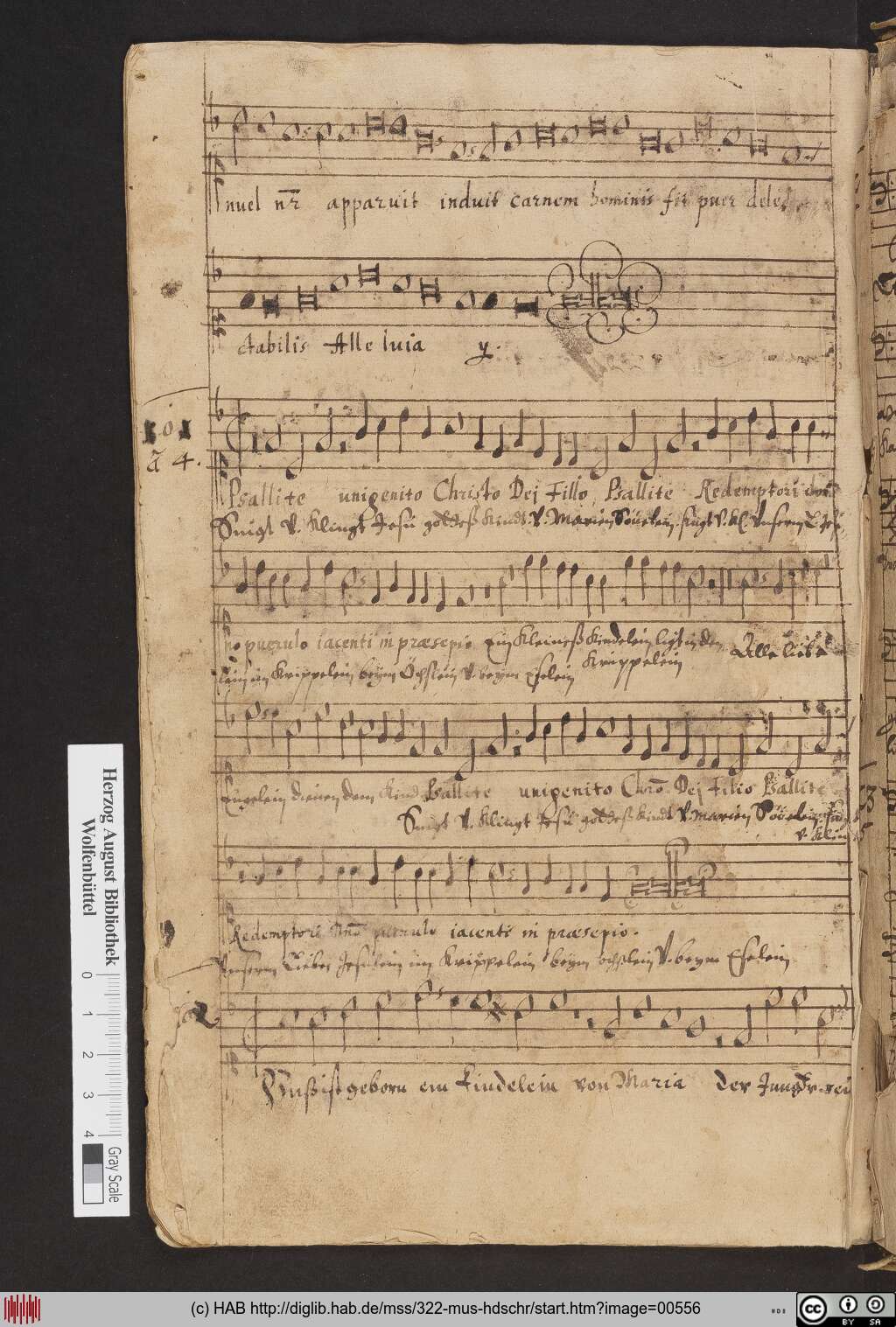 http://diglib.hab.de/mss/322-mus-hdschr/00556.jpg