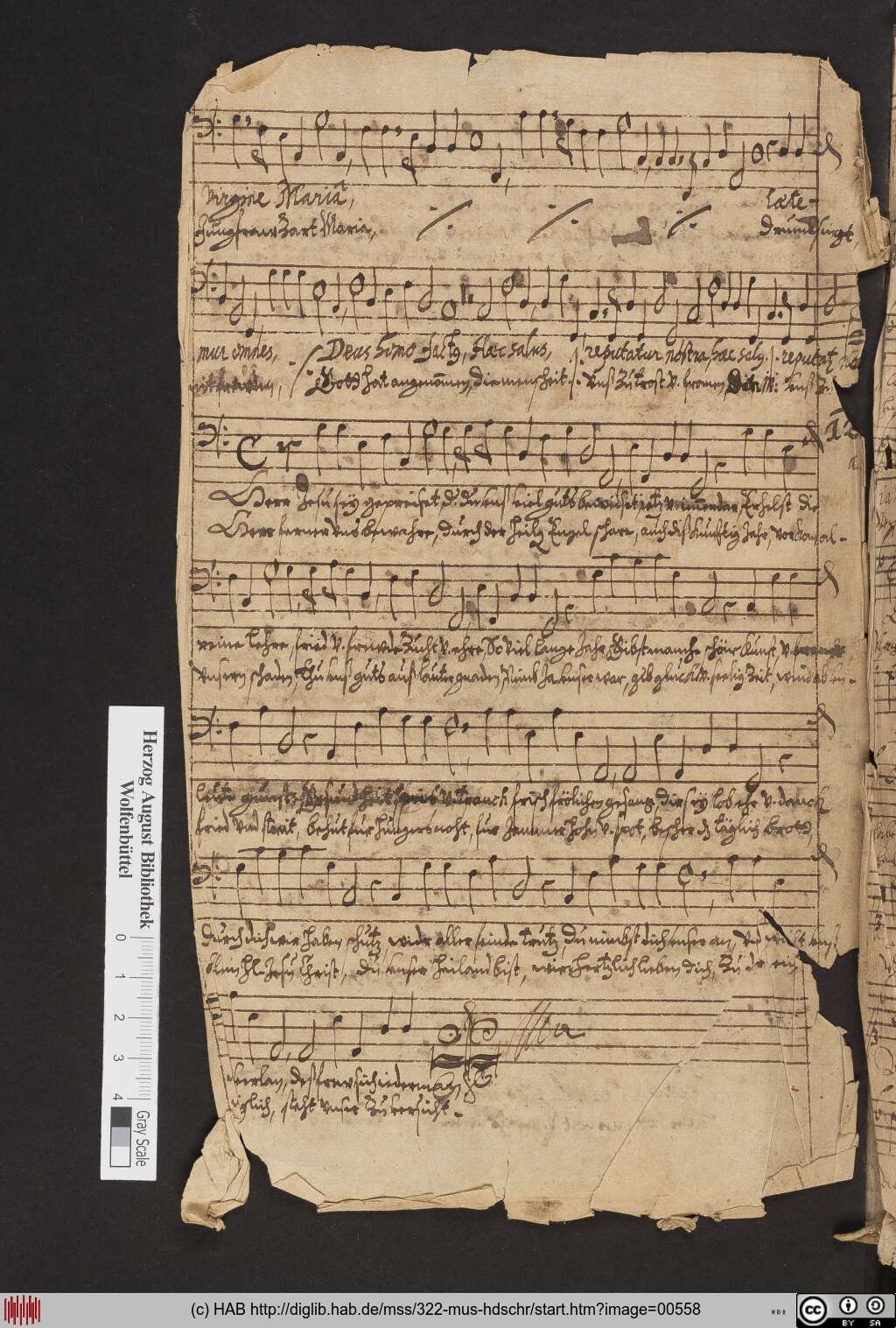 http://diglib.hab.de/mss/322-mus-hdschr/00558.jpg