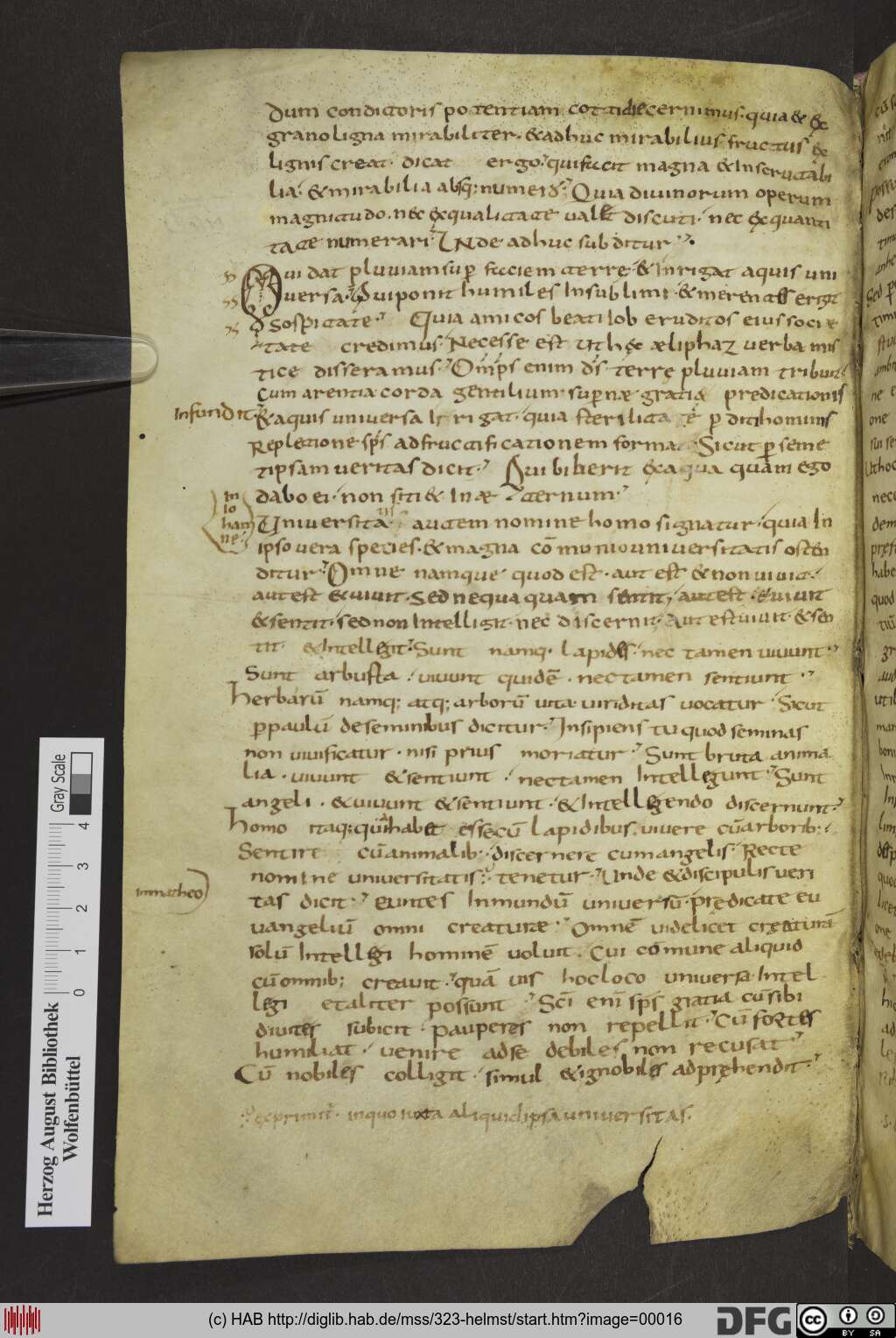 http://diglib.hab.de/mss/323-helmst/00016.jpg