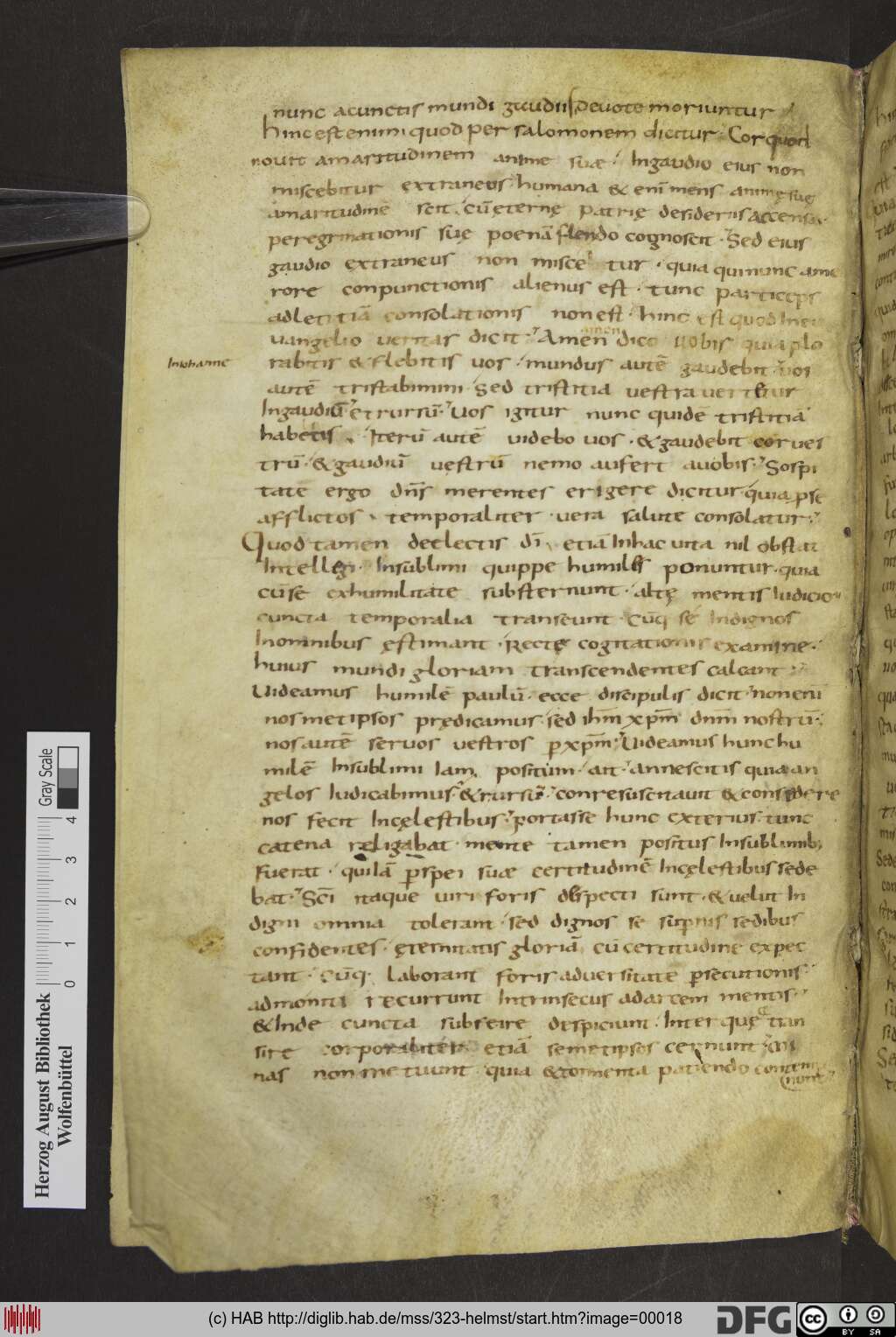 http://diglib.hab.de/mss/323-helmst/00018.jpg
