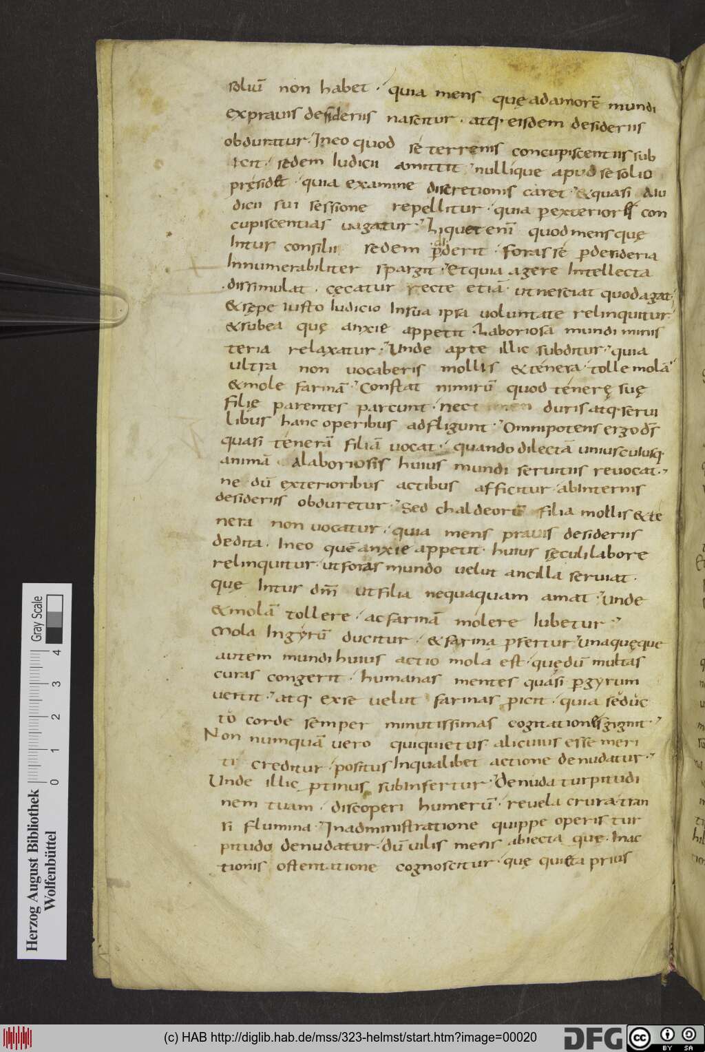http://diglib.hab.de/mss/323-helmst/00020.jpg