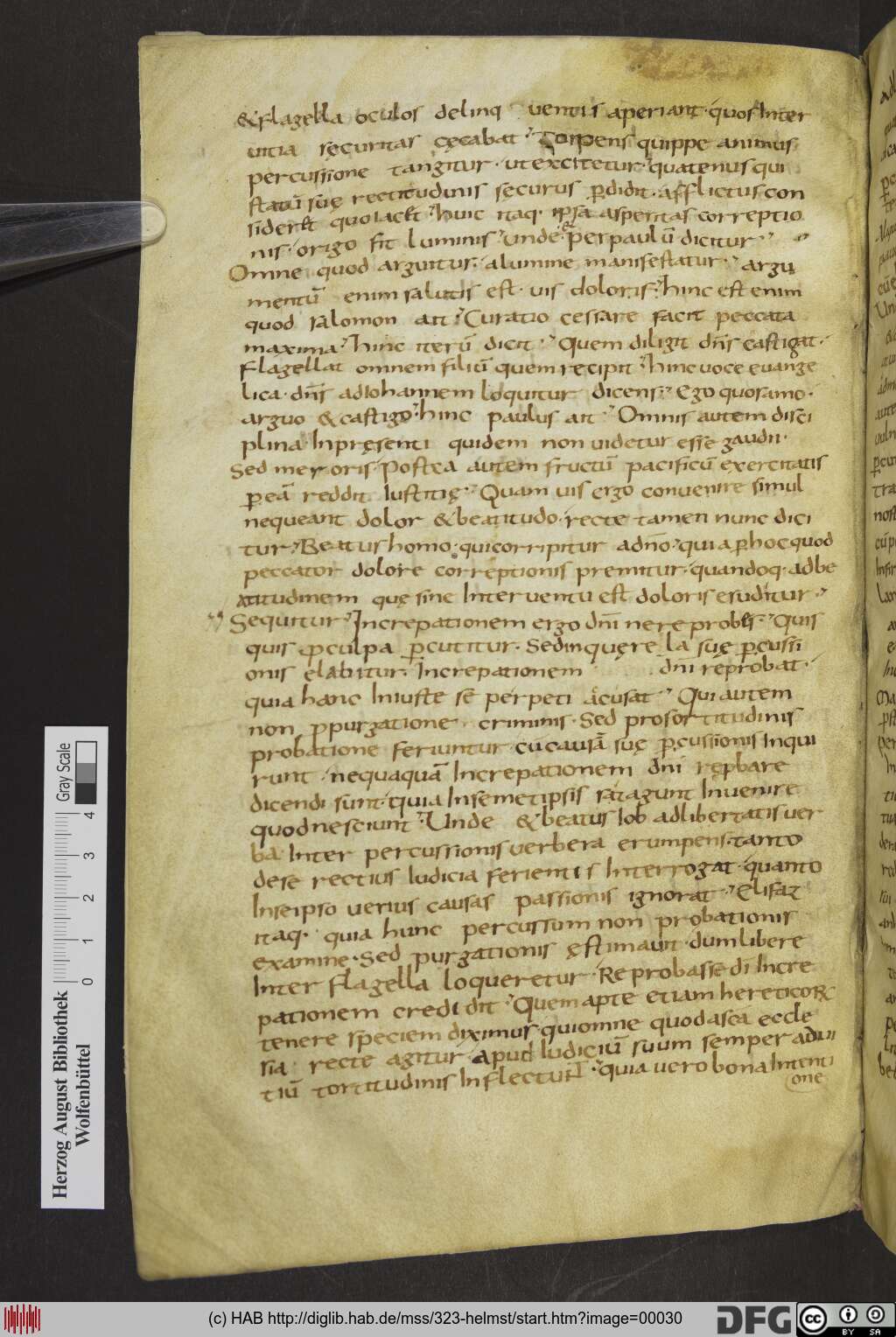 http://diglib.hab.de/mss/323-helmst/00030.jpg