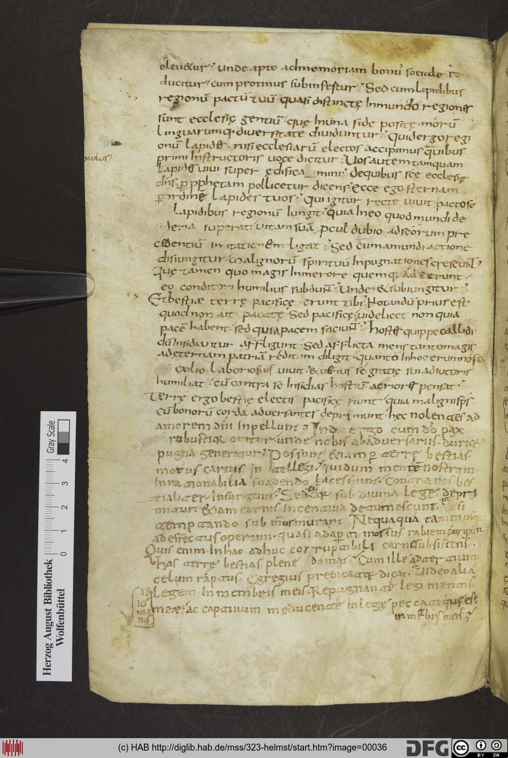 http://diglib.hab.de/mss/323-helmst/00036.jpg