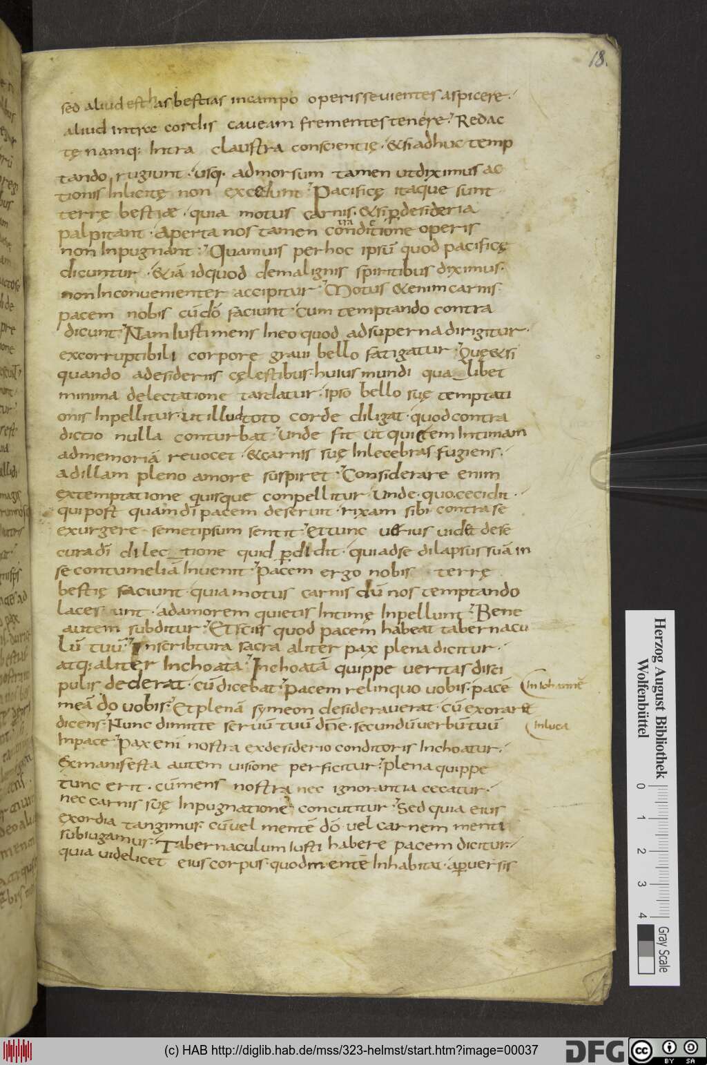 http://diglib.hab.de/mss/323-helmst/00037.jpg
