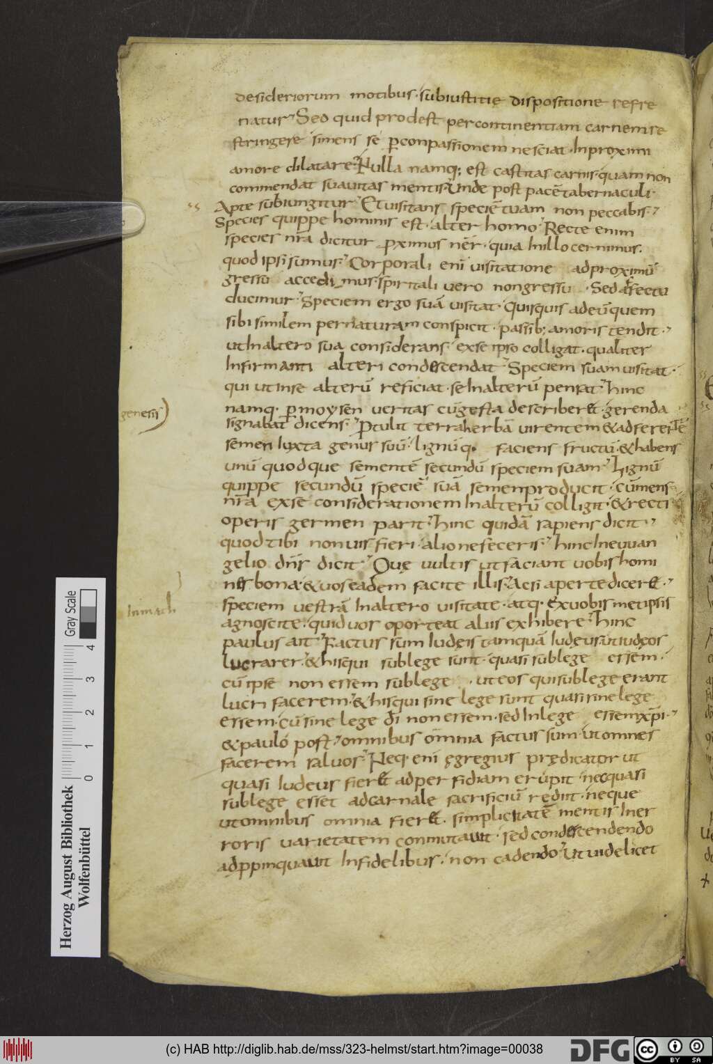 http://diglib.hab.de/mss/323-helmst/00038.jpg